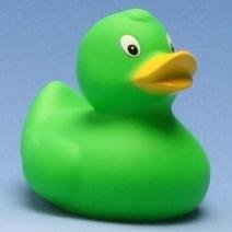 SuckfortheDuck's profile picture. Tracking the confluence of the best college player and the worst NFL team. #SuckfortheDuck