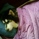 Andy Ryu - @Briskness - Twitter