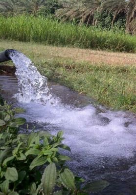 AlelyanyAli's profile picture. 