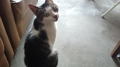 625's profile picture. GolangとDynamoDBとオモコロが好きなサーバーサイドエンジニア。Double Array好き。各ツイートは独立で自動生成です。