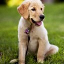 barry predmore - @predmore_barry - Twitter