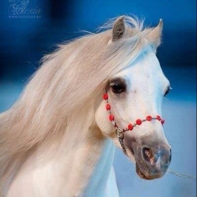 من وجد الله ماذا فقد ومن فقد الله ماذا وجد