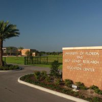 UF Gulf Coast REC (@ufgulfcoastrec) 's Twitter Profile