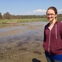 Amanda Hess - @Hess72M - Twitter