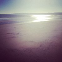 gone (@biggybear2) 's Twitter Profile