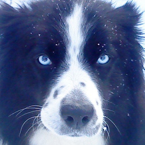 pdbrin's profile picture. 