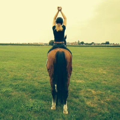 VMeengs's profile picture. 