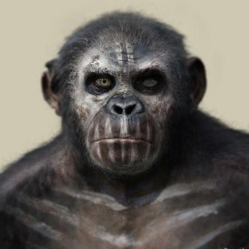 wallpapers Koba Planet Of The Apes Art koba koba the ape twitter