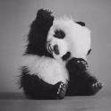 I'm random, what else can I say. :3
