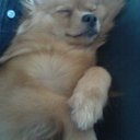 Ryan Garton - @garton012 - Twitter