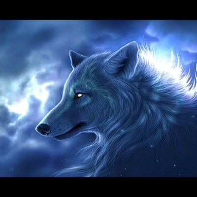 RpxWolf Profile Picture