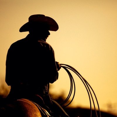 classouthern's profile picture. Country but not trash, good honest people.