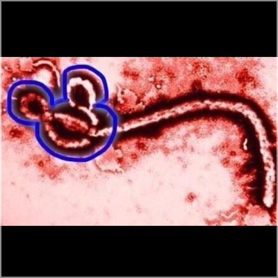 EbolaIsntReal's profile picture. once a small village virus now we doing it big