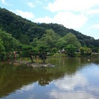 願成寺 (@gravity__blast) 's Twitter Profile