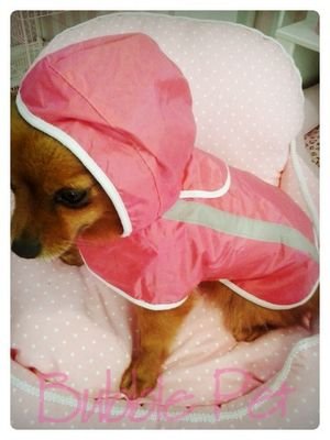 Peluquería Canina Bubble Pet, Limpieza y cuidados de su mascota.
Calle Jabonerías, 5 pasaje calle Cobre, 7, Torrijos