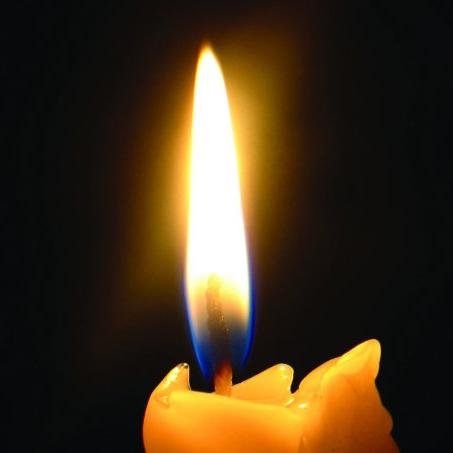 Official page for the University of Essex Holocaust Memorial Week 2015.