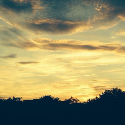 PutnamD11's profile picture. 