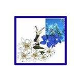 InfoLivigno's profile picture. appartamenti di vacanza a livigno
holiday flats in livigno
Ferienwohnungen Livigno - con richiesta gratuita tramite modulo - Anfrage Formular - request form