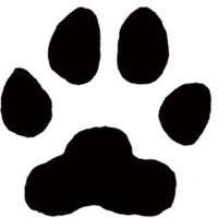 JFK5thgrade (@jfk5thgrade) 's Twitter Profile