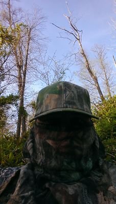 # I'm glad my mother knows none of you.  Yes, that's a dead wild turkey hanging from a tree limb.