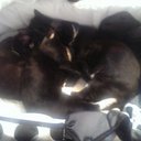 Becky Parr - @beckyandboys80 - Twitter