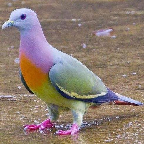 Jamezwdharvey's profile picture. Tweet Tweet