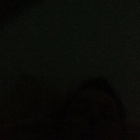 Social Media (@rentsavers) Twitter profile photo
