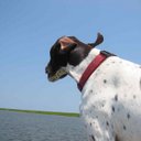 Tom Nelson - @Stingray_6 - Twitter