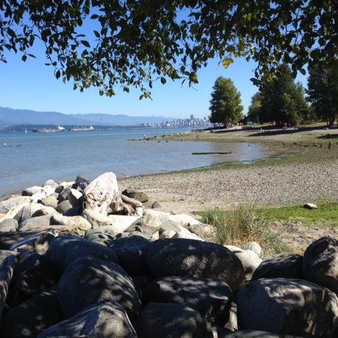 SongOnWater's profile picture. Walking, singing, weeding. Dancing with love.