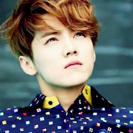 Anyooo .. ELF , Exo L And all the kpop :33 :D Fighting ..