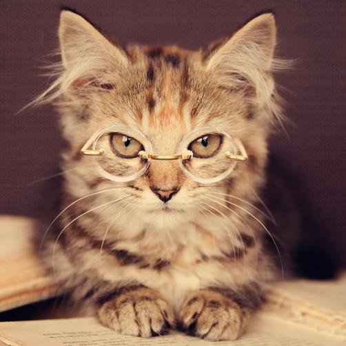 J_The_Unicorn's profile picture. My talent: screwing up mostly everything. I am not to be held responsible for any possible mental or physical damage. I also like books and cats.