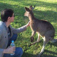 Carlos Cotta (@ccottap) 's Twitter Profile