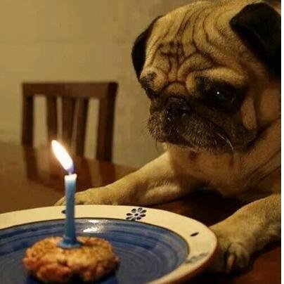 protip_IT's profile picture. 