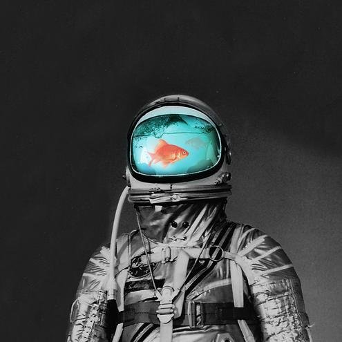 SbhatAsfaha1's profile picture. 