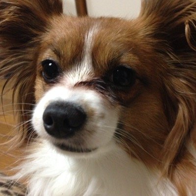 開智(和歌山)→京都工繊デザイン建築4回、元剣道部 生協学生委員会 noir 木匠 カレー部 Kickboxing //// UVERworld
