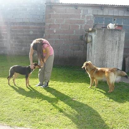 mama de 2 nenes, y con ganas de expandir
