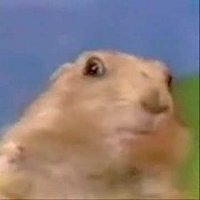 Gopher Specialists Alumni (@minnspecialists) 's Twitter Profile