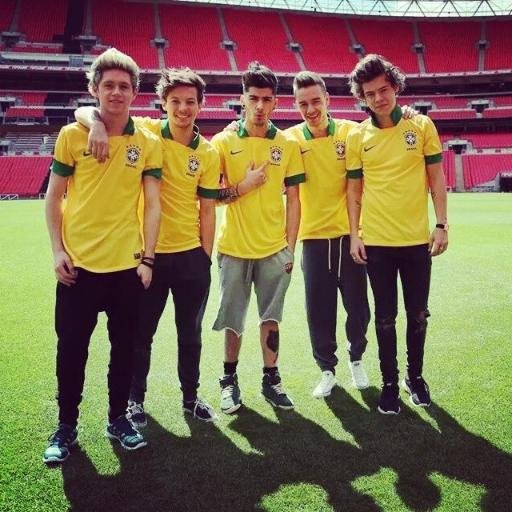 Não é mais uma fã page , mais sim um twitter fã page pra votar na 1D , para o EMA 2014 da MTV. 
Criadora: Louize B (uma fã muito louca e apaixonada por eles)