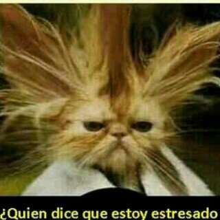 Modelo
