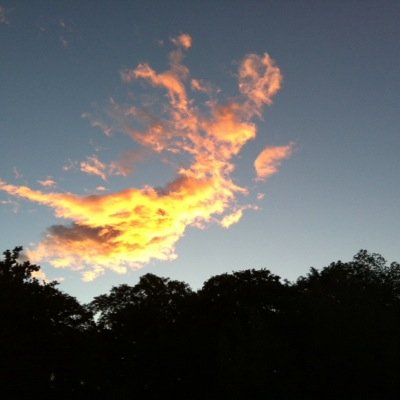 AngeBadger's profile picture. A Canadian in Kiwi Land. So I guess I am a Kiwiadian :)