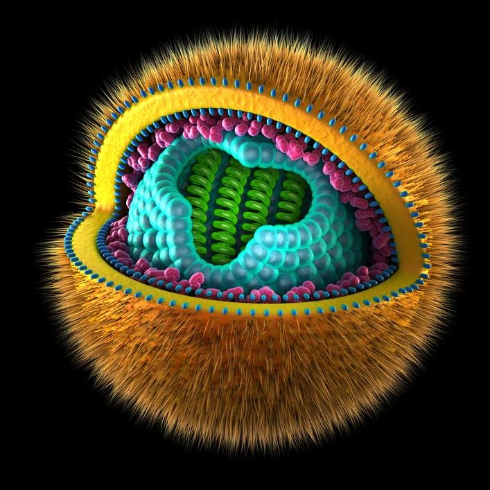 CureHerpesNow's profile picture. Health Invorgoration