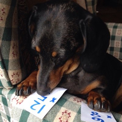 4th Grade Math and Science teacher at Brimfield Elementary. Mom to Frank, the world's best dog! See what happens in the fabulous 4th grade!