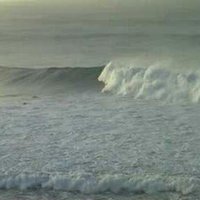 Possum Pete (@pete_possum) 's Twitter Profile