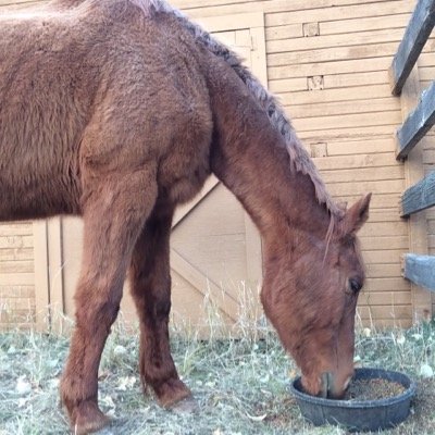 twp280's profile picture. 