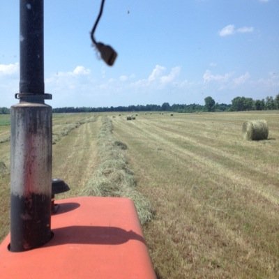 Beef and Cash Crop in Lanark County