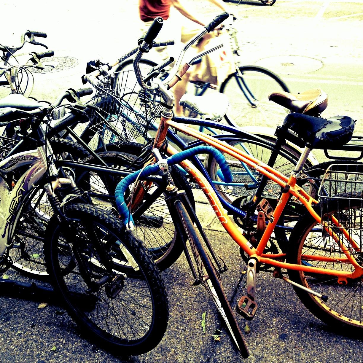 TimothyHodsdon's profile picture. 