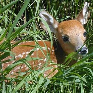 MarcusBitter8's profile picture. Targeted individual. No attacks to the body so far. Only communal mobbing & gaslighting. Not surviving well. Someone please blow the whistle on this. Please.