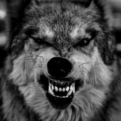 Voy camino a la locura, permiso ᕕ( ᐛ )ᕗ