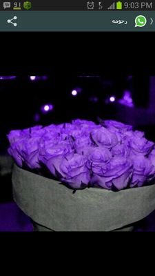 ‏‏‏

لا تحتاج حياة من لا يحتاجك ولا تفرض نفسك على من يرفضك ، أن ترحل متألماً شامخـاً
خير من أن تبقى مستمتعاً وذليـلاً  !!