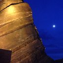 Lynda Burt - @Lynbur - Twitter